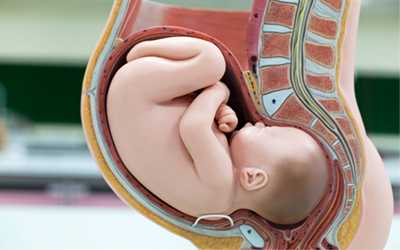 Влияние амфетамина на беременность - Веримед