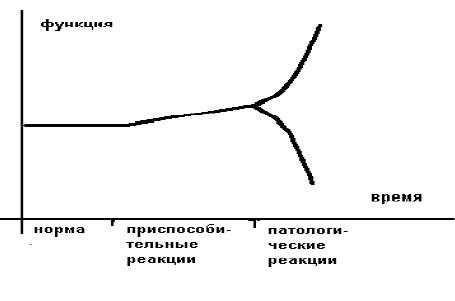 График нормы приспособительных и патологических реакций