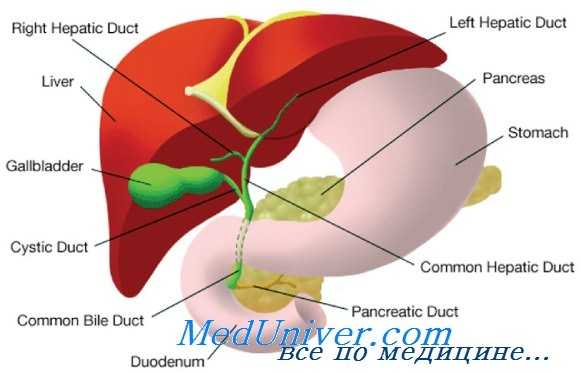 холедохолитиаз