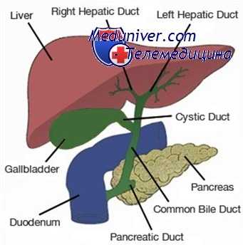 дренирование общего желчного протока