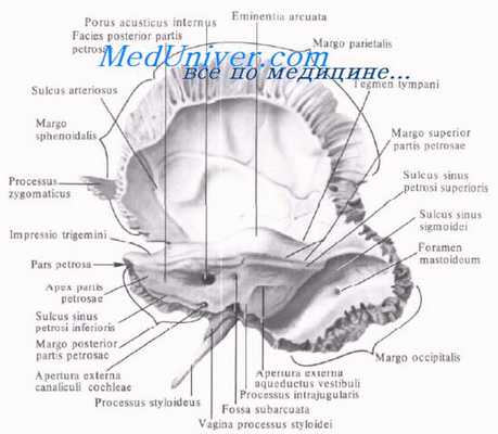 барабанная полость