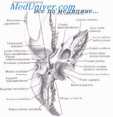 строение аттика