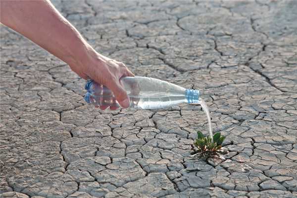 Нарушения водно-солевого баланса
