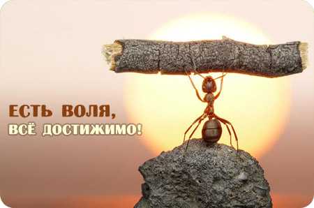 все достижимо