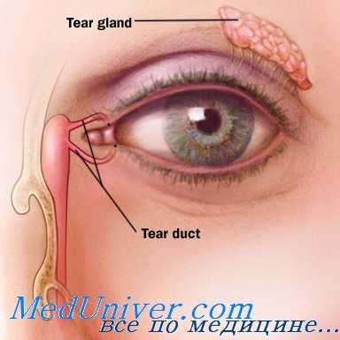 восстановление слезных канальцев