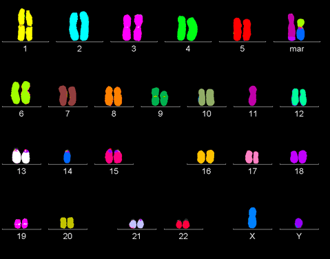 Раковый геном