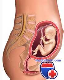 новорожденный человека