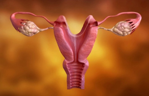 Седловидная матка