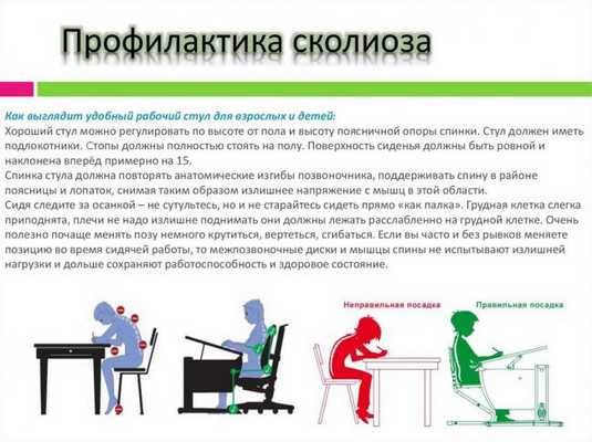 Профилактика сколиоза