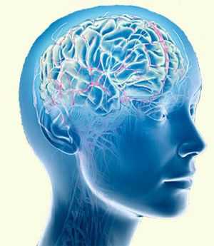 черепно мозговая травма