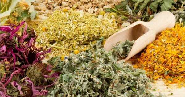 Мази при дерматите