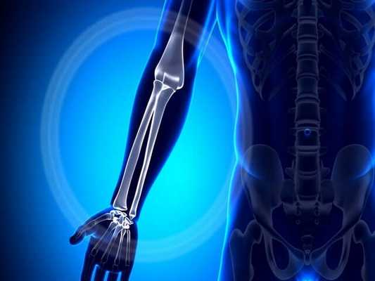 лучевая кость