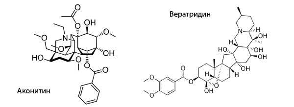 Аконитин и вератридин 