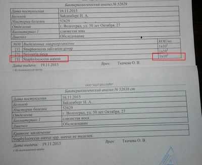 результат бактериологического анализа