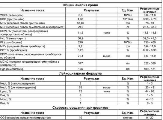 Бланк общего анализа крови