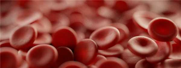 эритроциты в крови