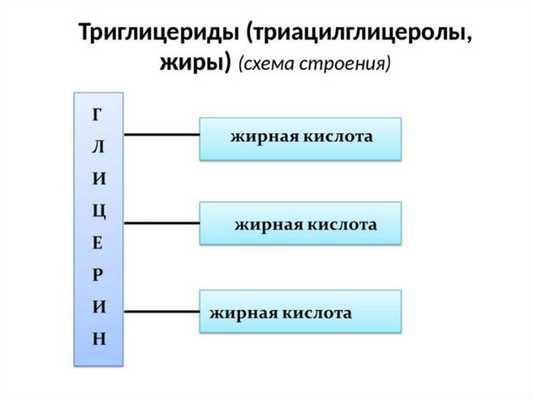 Триглицериды
