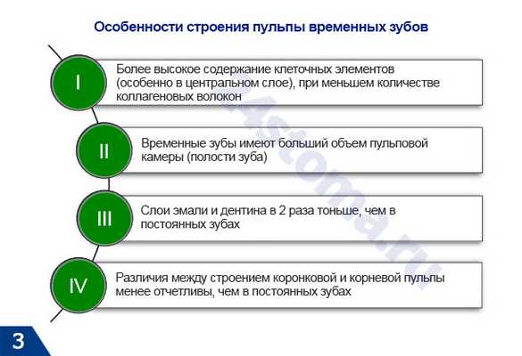 Особенности строения пульпы временных зубов