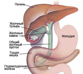 Изображение 1: Желчнокаменная болезнь - клиника Семейный доктор