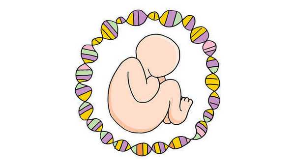 Пренатальный скрининг трисомий II триместра беременности