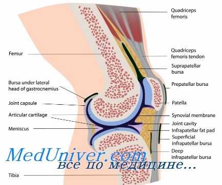 травма коленного сустава