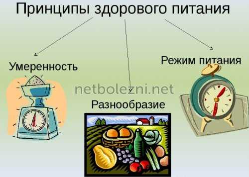 Принципы здорового питания