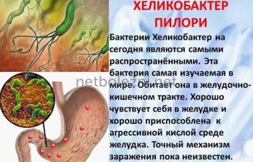 Характеристика поражения бактериями