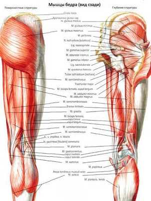Подколенная ямка