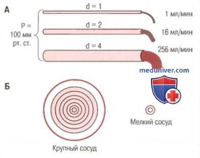 сопротивляемость сосудов