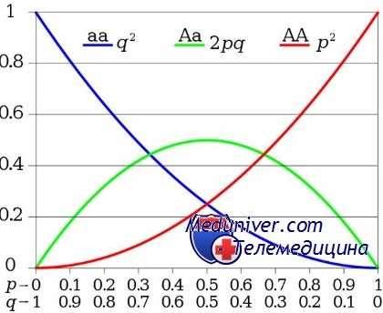 закон харди-вайнберга
