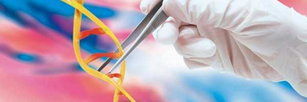 Онкогеномика. Генетические маркеры