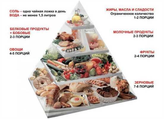 Белок в пищевой пирамиде