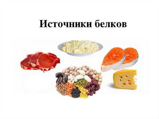 Источники белков в продуктах