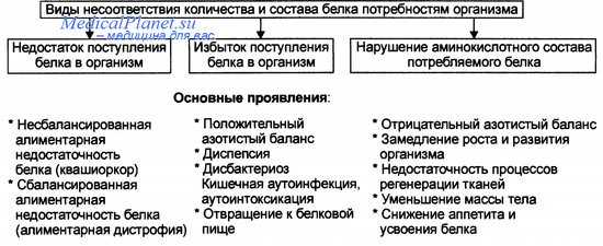 Нарушения поступления белка в организм
