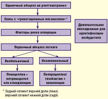 Алгоритм антимикробной терапии при абсцессе легкого