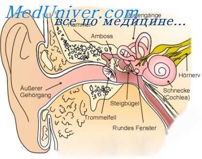 эпидермизация полости уха