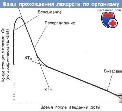 Фазы прохождения лекарств по организму