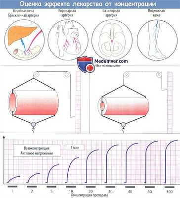 Оценка эффекта лекарства от концентрации