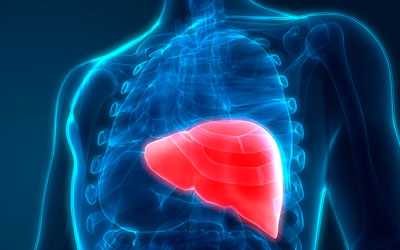 Патологиями печени - Угодие