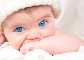 Заячья губа и волчья пасть