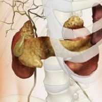 Дискинезия желчевыводящих путей