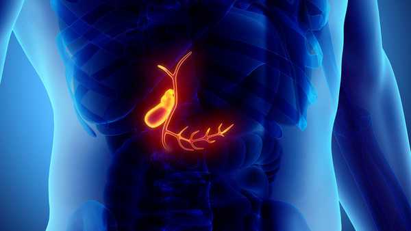 Желчный пузырь в организме человека