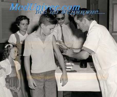 желтая лихорадка