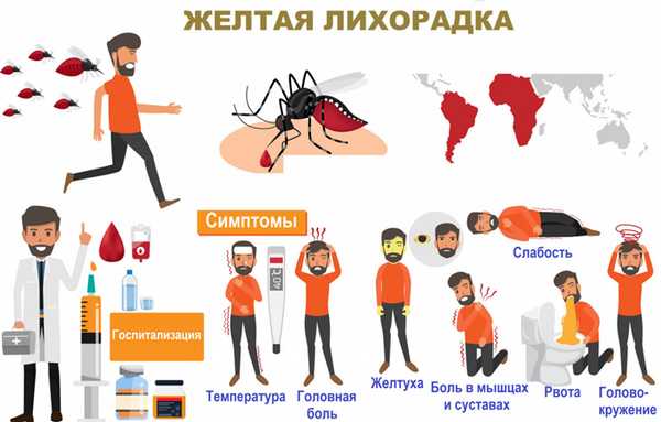 Лихорадка Западного Нила
