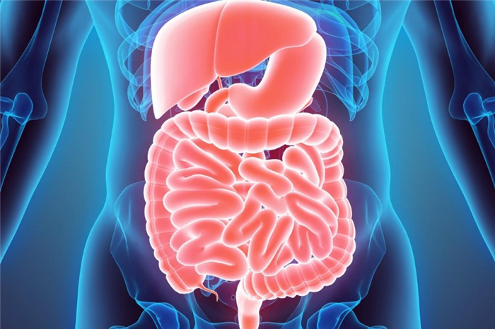 Функциональные синдромы, вызванные старением ЖКТ — как лечить?