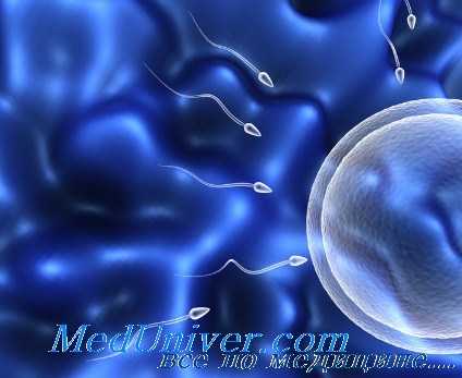 внутриматочная инсеминация