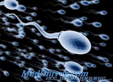 внутриматочная инсеминация