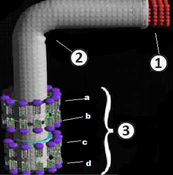 Жгутики - Структура жгутика грамотрицательных бактерий