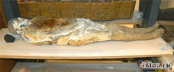 Сапонификация или как появились «мыльные люди»