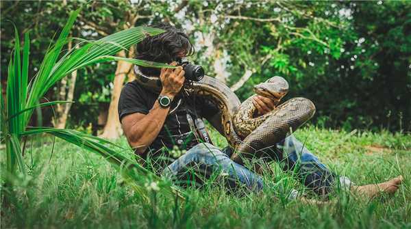 10 самых опасных животных Латинской Америки